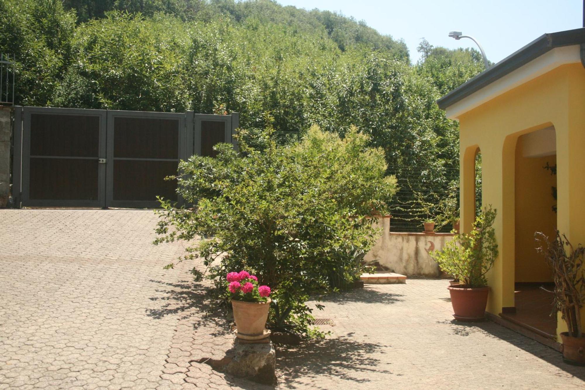 B&B Del Castagneto San Marco Argentano Habitación foto